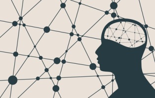 Social Phobia systems medicine IntegraMent