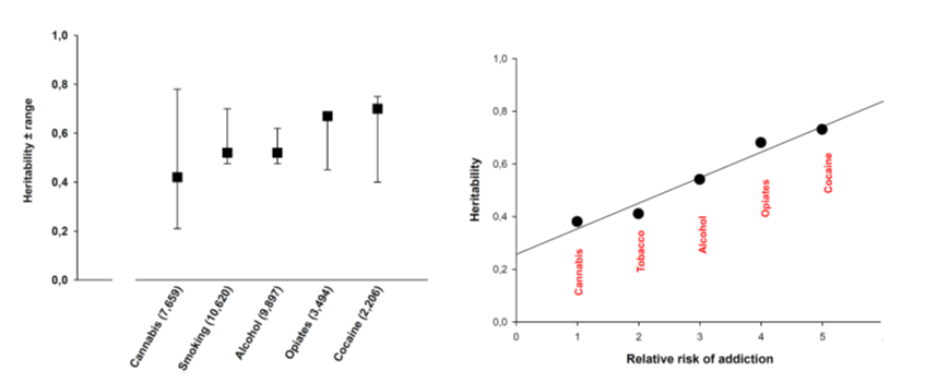Heritability of SUDs.
