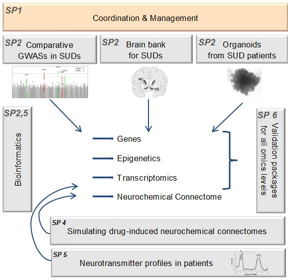 Illustration of the subprojects how they synergistically interact with each other