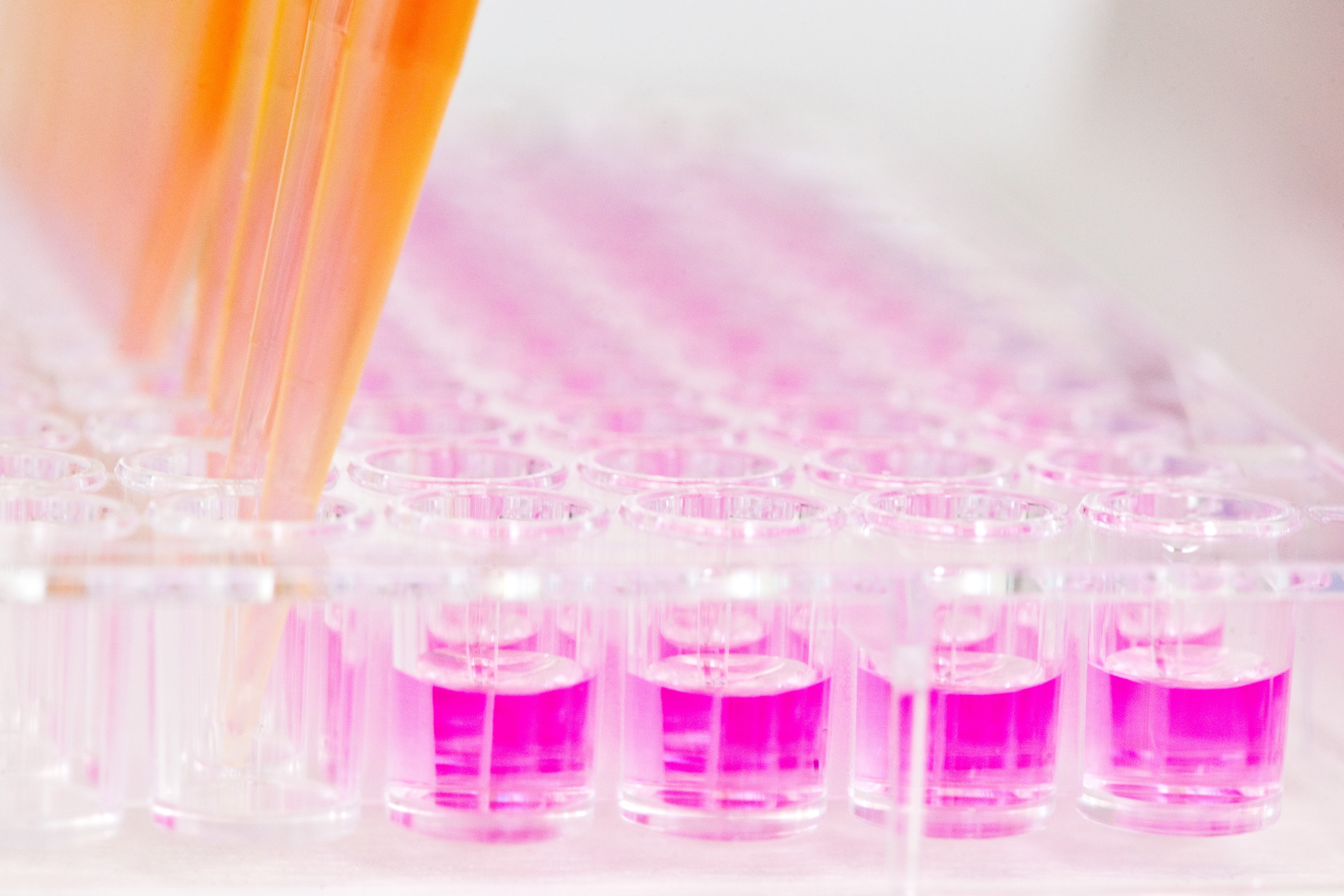 mitOmics e:Med Systemmedizin